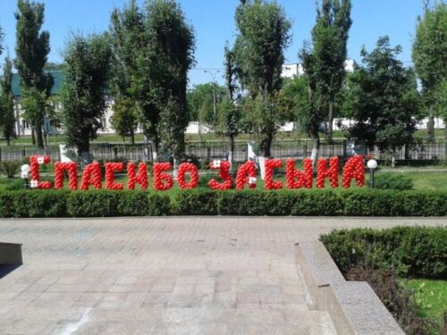Кульки на виписку з полового будинку № 30 - Послуги